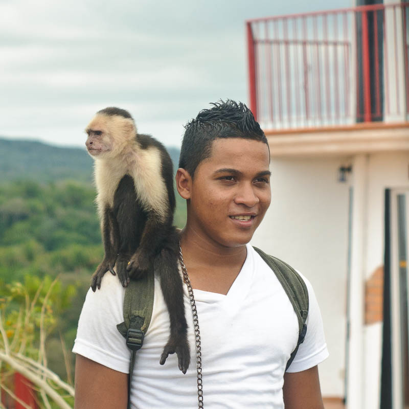 Monkey on My Shoulder
