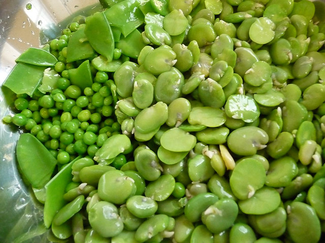 Glorious broad beans