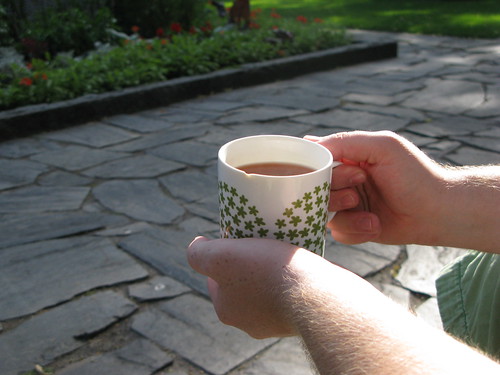 Tea in Bear Park