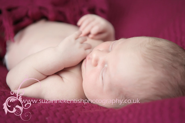 Newborn photography - Suzanne Kentish Photography