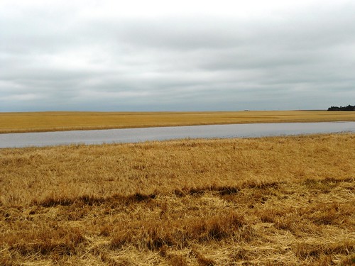 Down wheat and lake