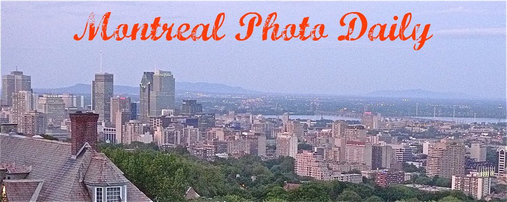 Montreal Photo Daily