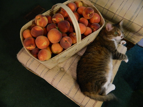 Peaches! (and Twinkle)