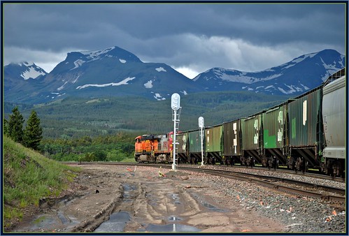 BNSF Freight at East Glacier. by Loco Steve, on Flickr