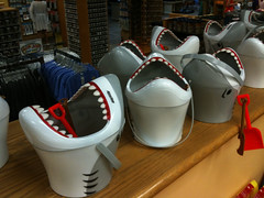 Shark Buckets