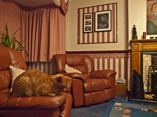 1000/575: 29 Sept 2011: Find the cat by nmonckton