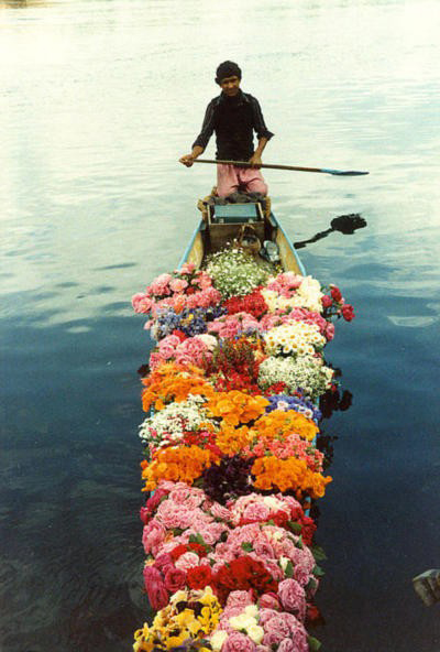 flower-boat