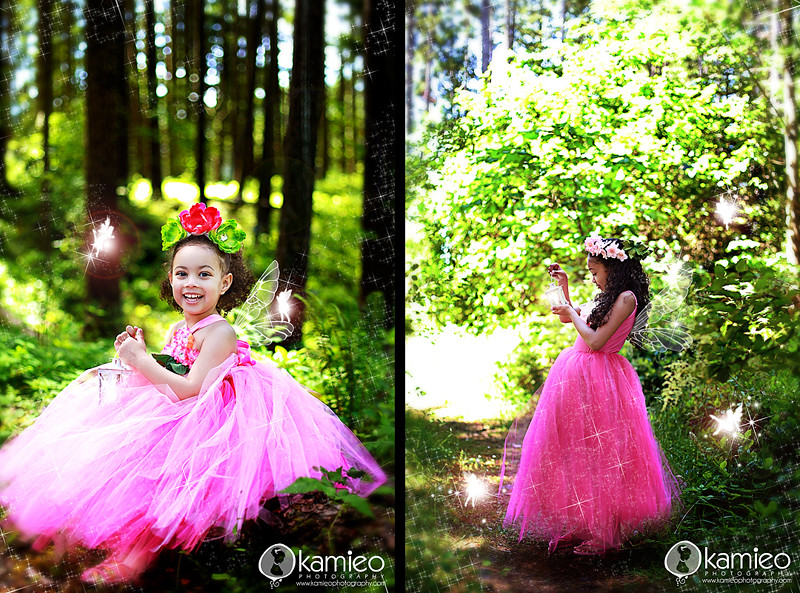 Fairy Mini's 2011