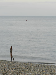 Bray Seafront during the Summerfest 2011 - "Going for a swim..." =D