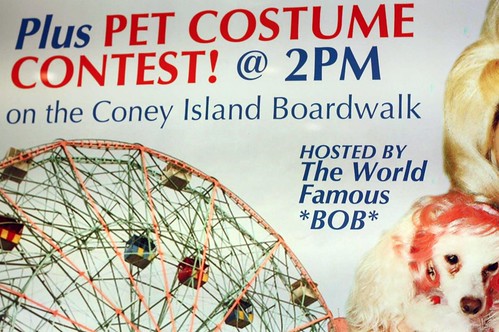 Pet costume contest!