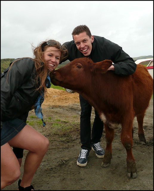 Isabella and me with the cows ^^