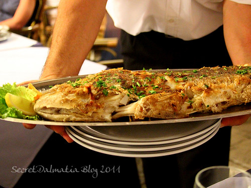 Grilled dentex - seafood rarely gets better than this!
