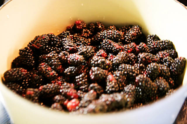marionberries pre-squished