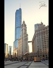 Wrigley Building and Trump Tower