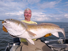 Oh My! 45lb Redfish! Wow!