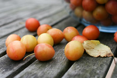 Mirabelle Plums
