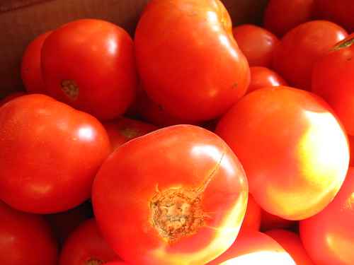 Tomato heaven: giant big reds