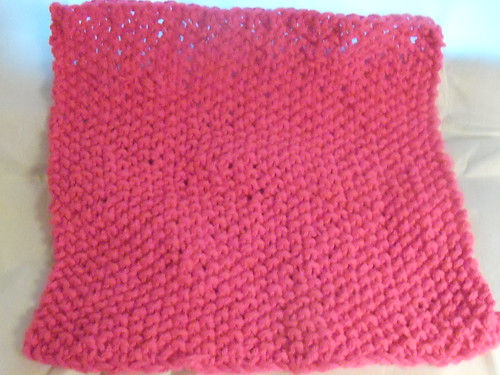 Seed Stitch Dish Cloth (10/365)