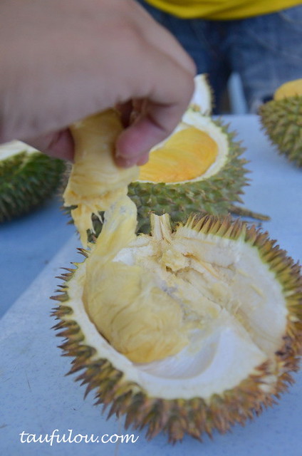 durian part 2 (3)