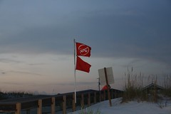 Surf Warning Flags