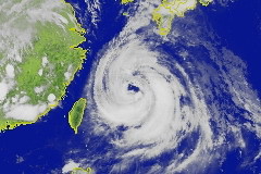 梅花颱風