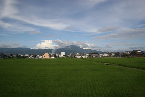 Rice fields and mountain