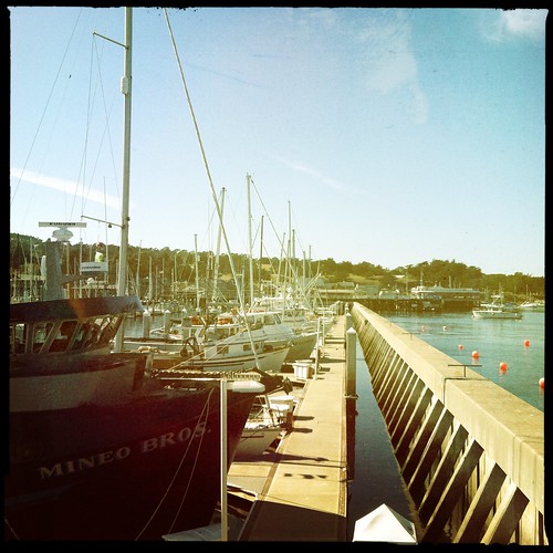 90 degrees...a gorgeous day at Monterey Fisherman's Wharf