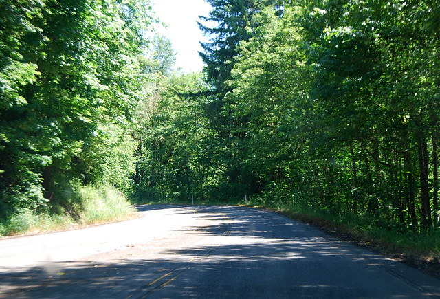 SR 122 in Ike Kinswa State Park