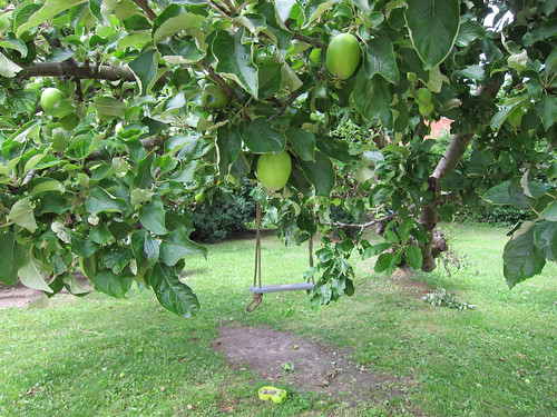Apple Tree Swing
