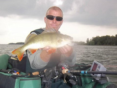 Nice Perch caught with G Loomis NRX