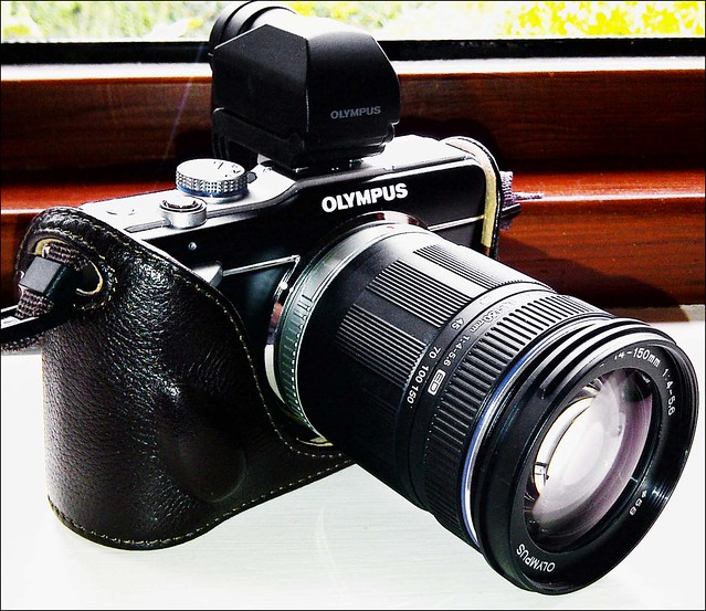 Olympus E-PL1 14-150mm zoom