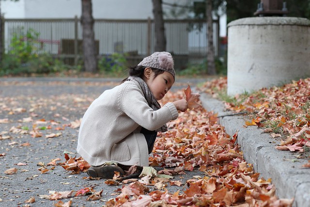 collecting leaves for school