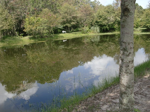 Lola's Pond
