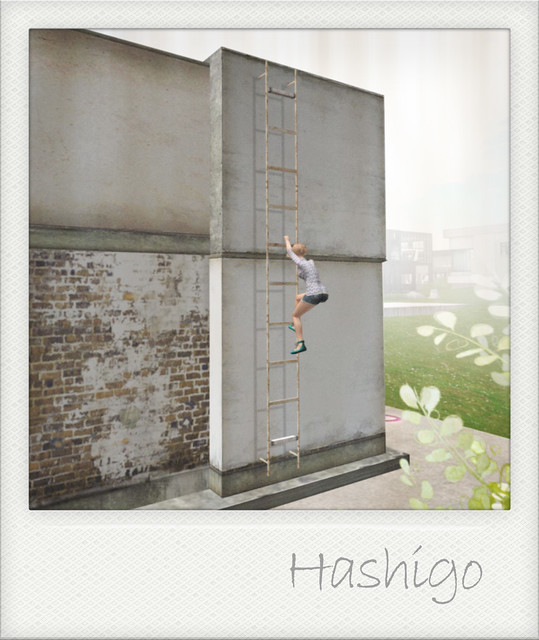 *Y's HOUSE* HUNT 2011_Prizes_OMISE002[1/4]_Hashigo