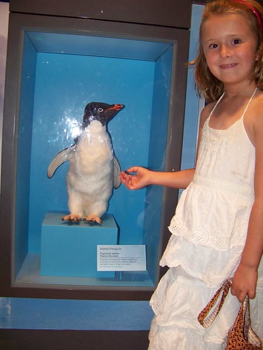 C6 with Penguin