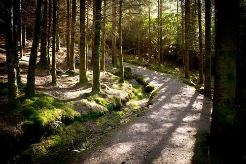 IMG_4776 - Glencoe Lochan Trails