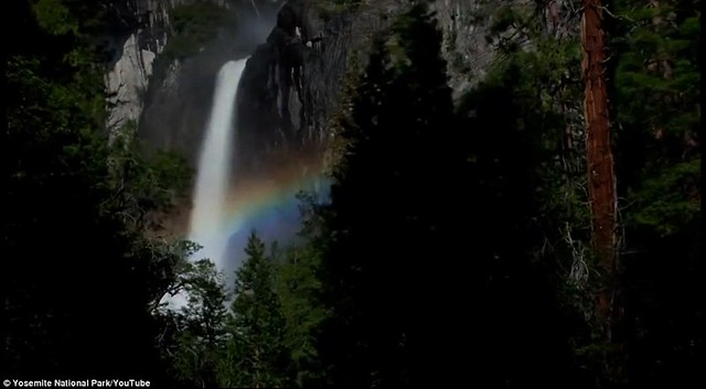 Dazzling arc of colour lights up night sky at Yosemite National Park  5
