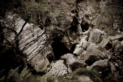 IMG_4590 - Skull in the rocks
