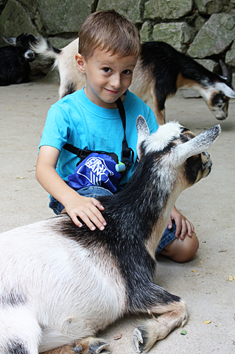 Nathan-petting-goat