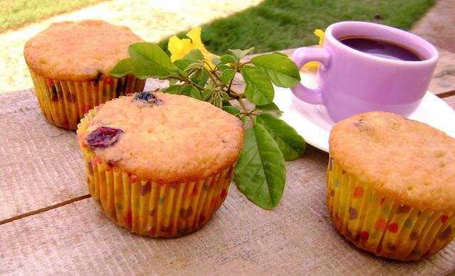 Muffins de blueberry e cranberry
