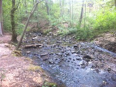  Beech Hollow Creek 
