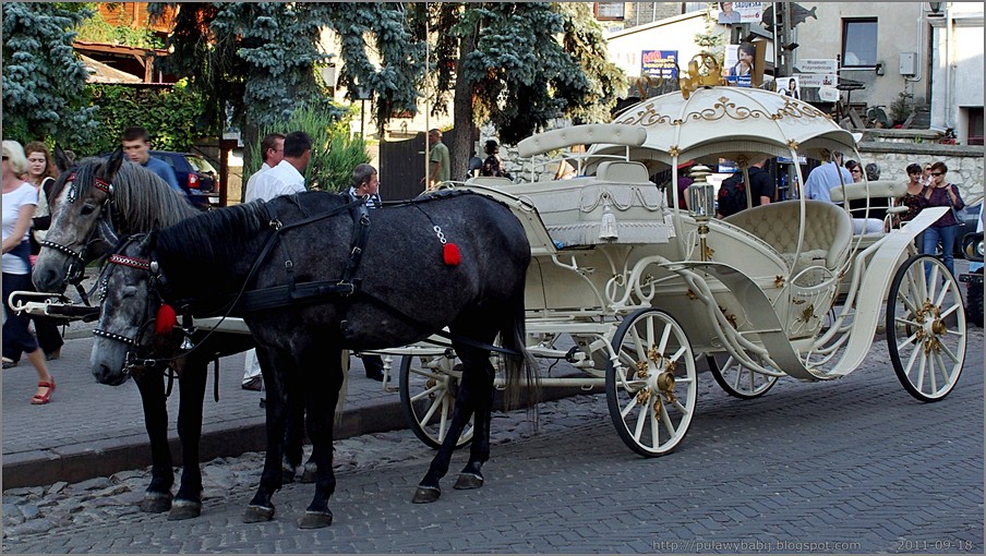 Kazimierz Dolny karoca zaprzężona w kare konie