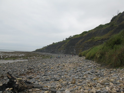 Cliffs west of Lyme Regis where Mary Anning collected her fossils