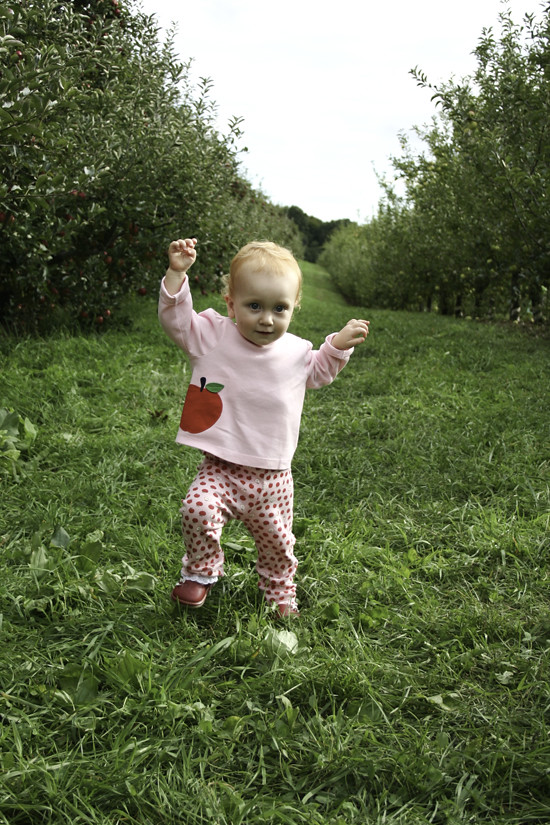 abi apple picking