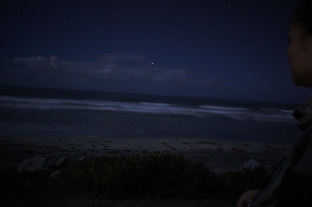 Torrey Pines State beach at night