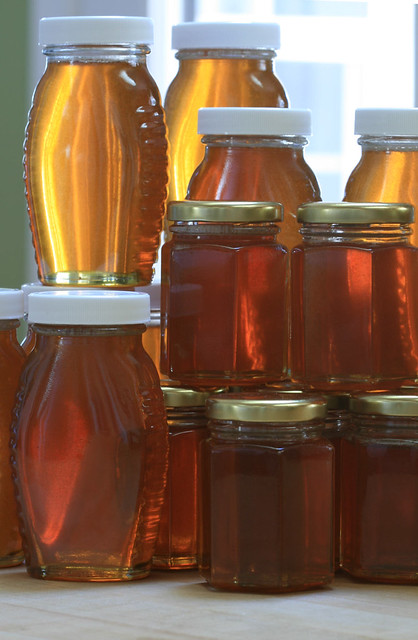 Honey Harvest 2011