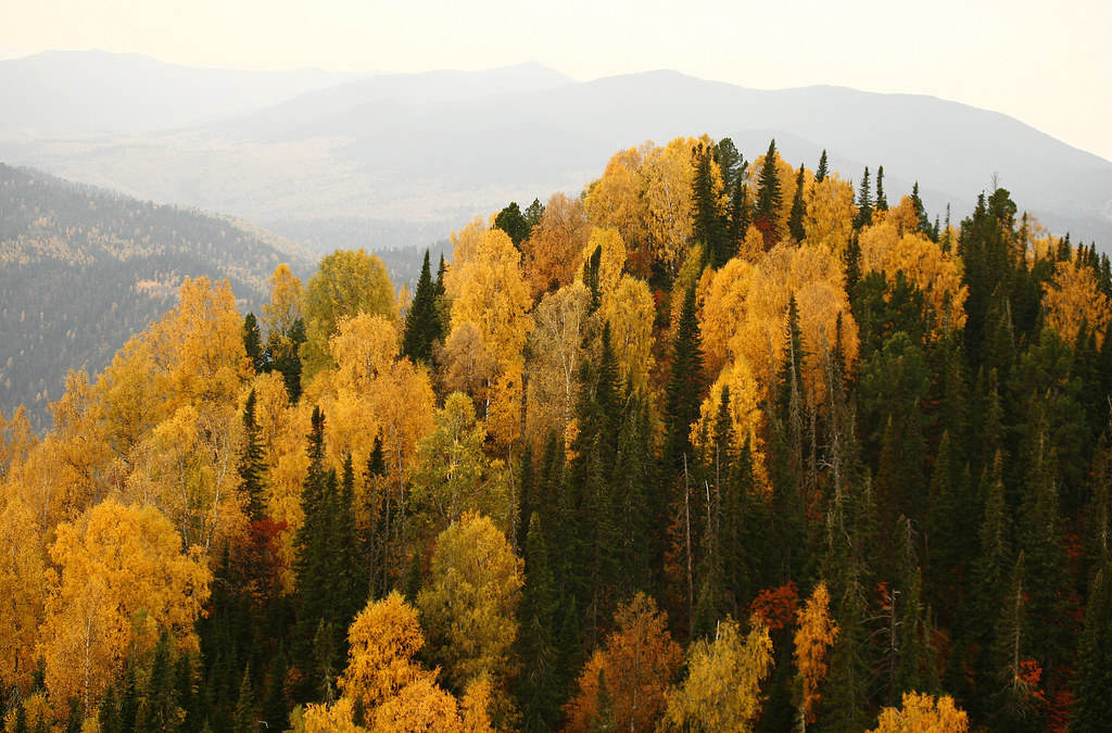 : Altai mountains. Mid fall.