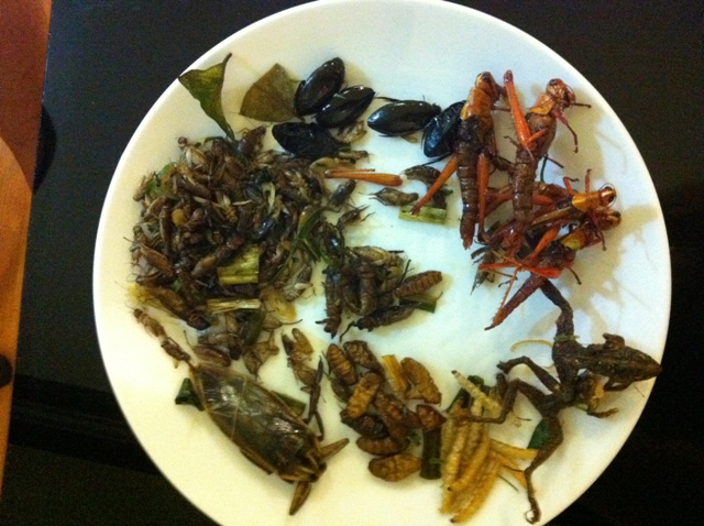 01 Insect Platter