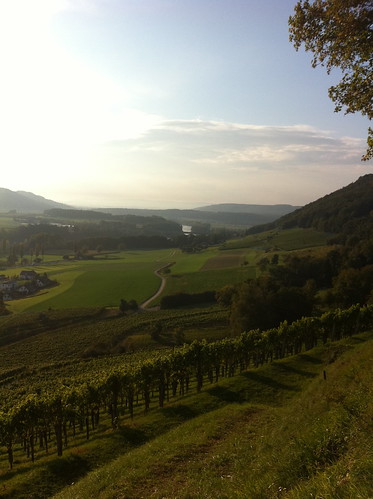Vineyards around Stein am Rhein, Switzerland