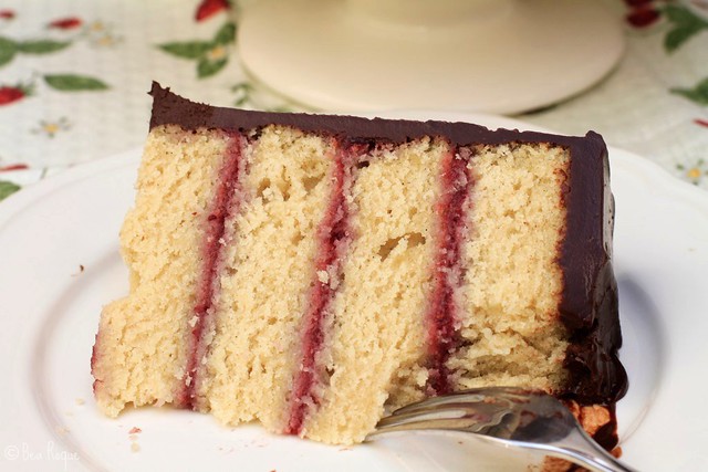 Raspberry & Chocolate Layer Cake